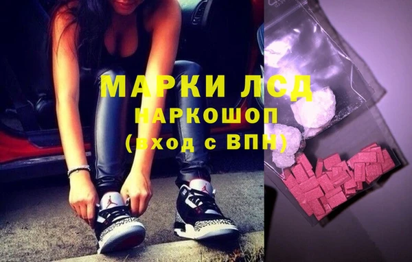ГАЛЛЮЦИНОГЕННЫЕ ГРИБЫ Балахна
