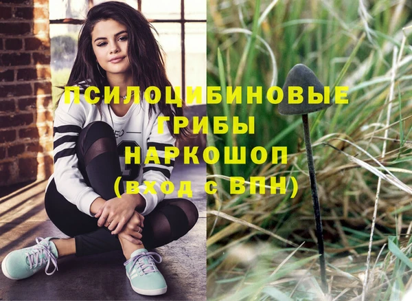 ГАЛЛЮЦИНОГЕННЫЕ ГРИБЫ Балахна
