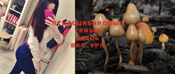 ГАЛЛЮЦИНОГЕННЫЕ ГРИБЫ Балахна